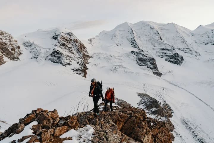 mammut management team