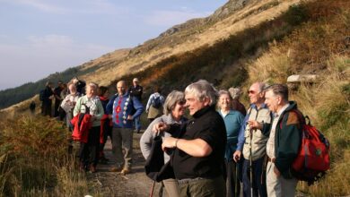 Cowalfest rebooted for September 2024