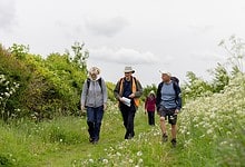 National Forest Walking Festival Jubilee Wood 200522-010
