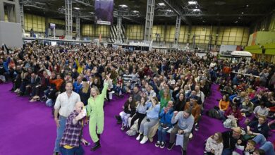 Adventure awaits at the National Outdoor Expo