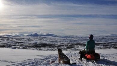 More Green Ribboners than ever embarking along the Swedish mountain range