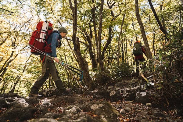 Fjällräven