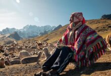 PAKA expands impact in Peru announces new nonprofit in 2024 Impact Report