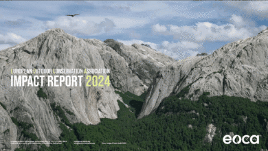 Bird soaring over rugged mountain cliffs with lush green forest below.