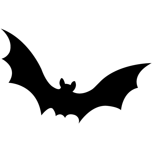 Silhouette of a bat flying in the night sky, outdoor activities, wildlife, nature exploration.