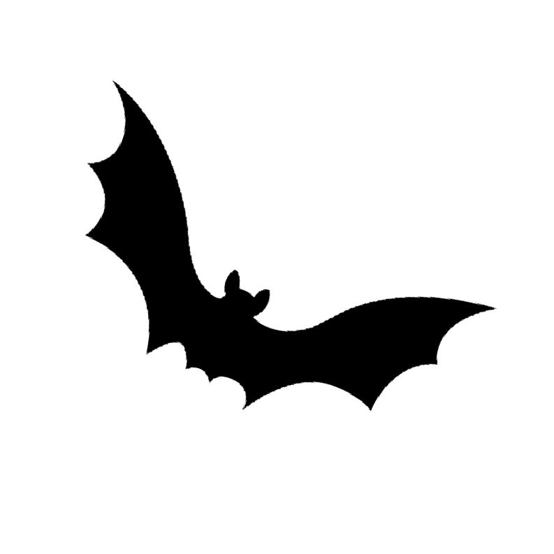 1. Bat silhouette, outdoor adventure, nature exploration, wildlife imagery, evening setting.