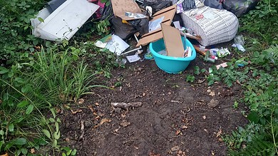 Unlawful outdoor rubbish dump in a forest, environmental pollution, illegal waste disposal in nature.