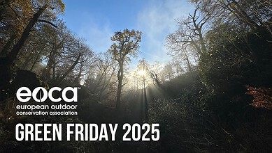 Rich woodland scene with sunlight filtering through trees, promoting outdoor conservation and Green Friday 2025.