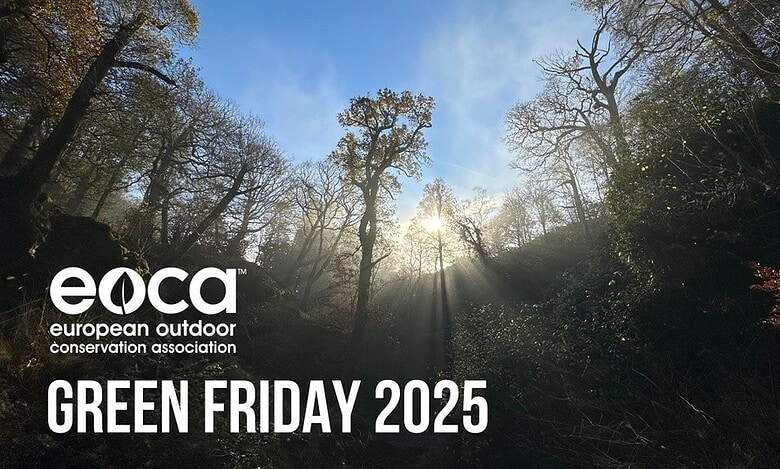 Rich woodland scene with sunlight filtering through trees, promoting outdoor conservation and Green Friday 2025.