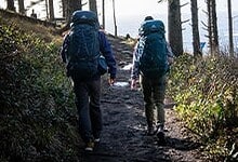 Hikers with backpacks walking along a forest trail in outdoor nature.