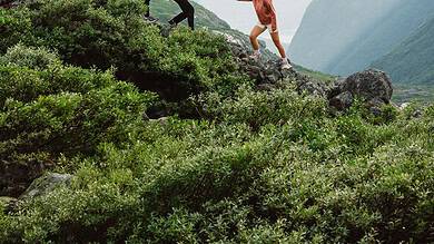 Family hiking in scenic mountain terrain with lush greenery and snow-capped peaks.