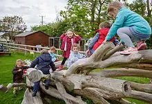 Children enjoying outdoor play on a fallen tree in a park.