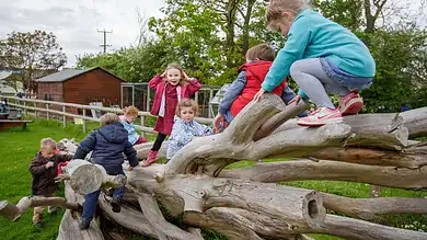 Children enjoying outdoor play on a fallen tree in a park.
