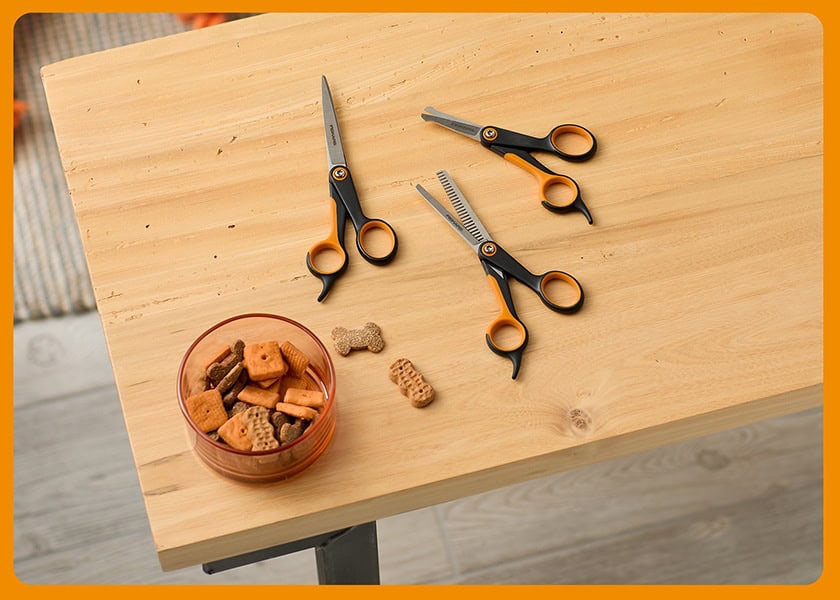 Grooming scissors and pet care tools for dogs on a wooden table with treats.