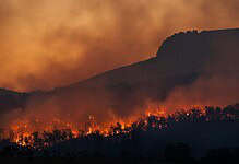 Wildfire burning on mountain with smoke and flames in the evening.